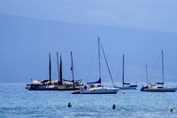 Hokule'a in Lahaina